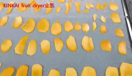 Hot Air Drying Food Fish Dehydrator Fruit Vegetable Dryer Drying Machine