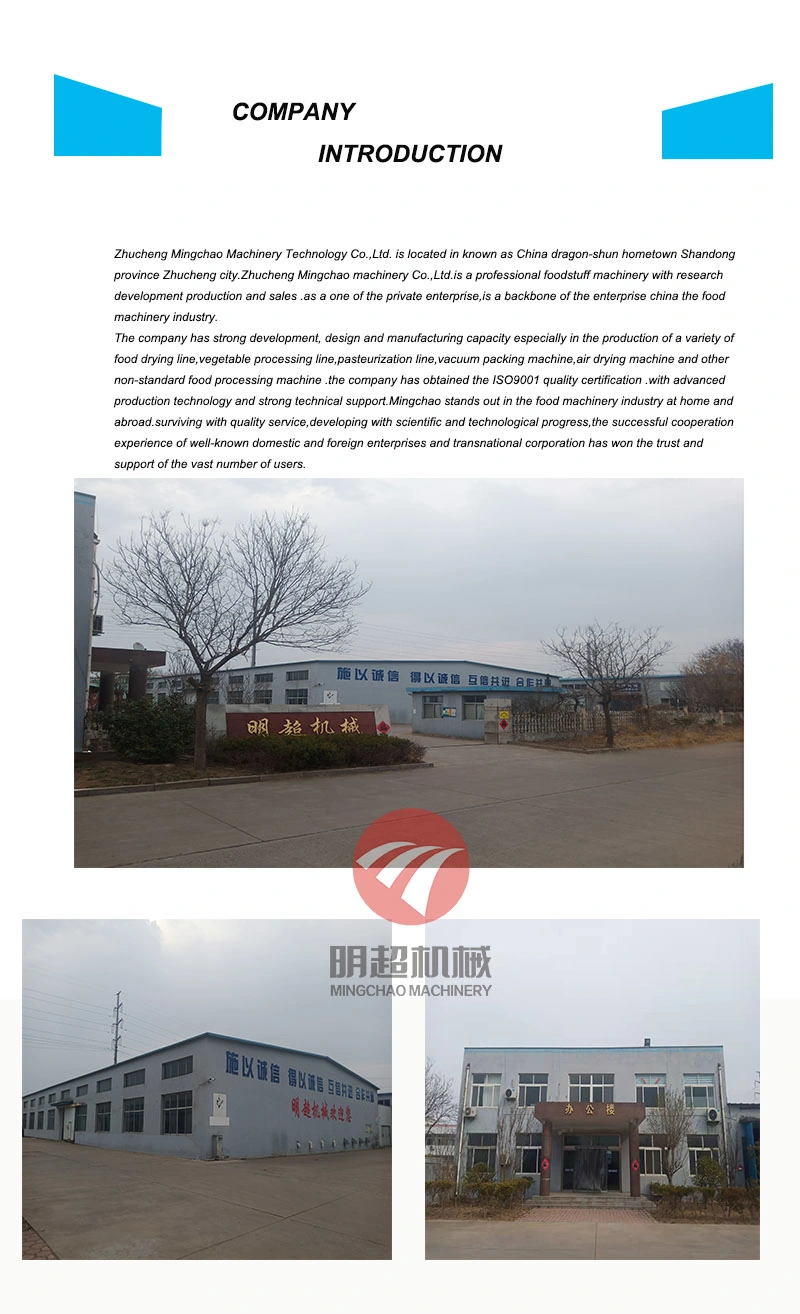 Hot Air Fruit Drying Equipment Apple Dryer