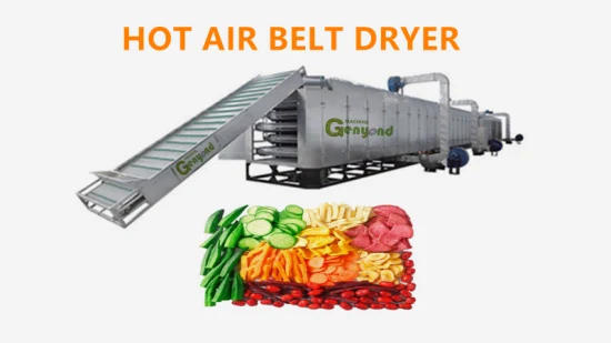 Industrial Continuous Belt Drying Machine for Fruit and Vegetable